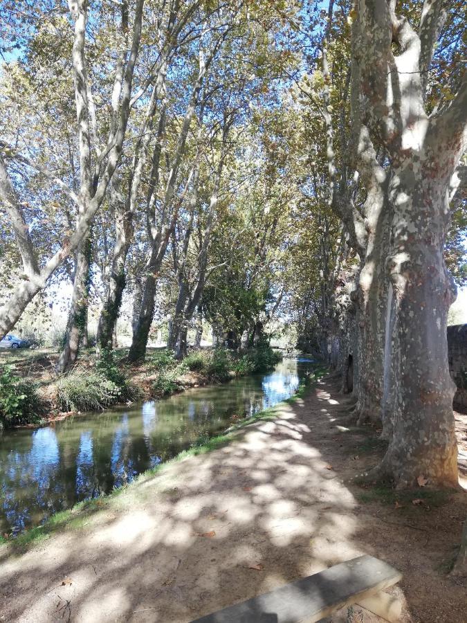 Appartement Sous Les Remparts Carcassonne Dış mekan fotoğraf